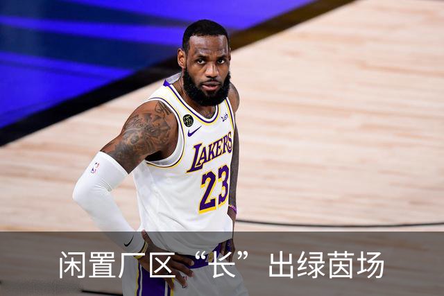 闲置厂区“长”出绿茵场